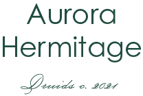 Aurora Hermitage 2021